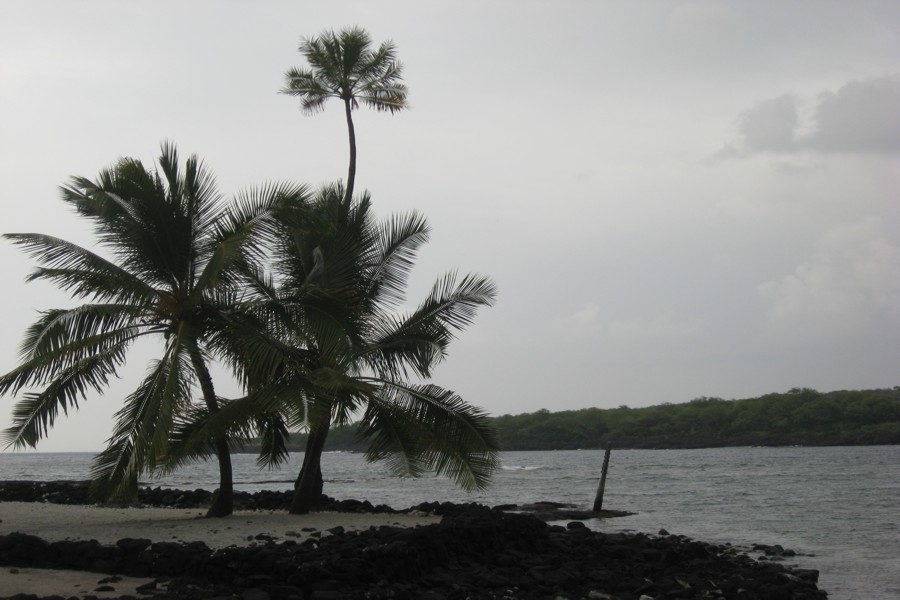 ../image/place of refuge 22.jpg